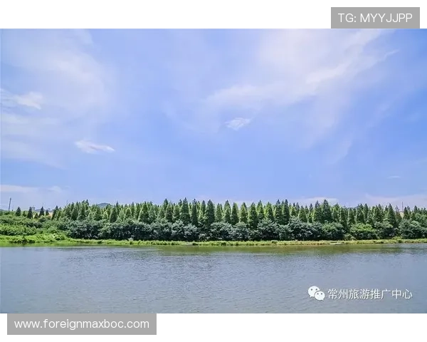 爱游戏ayx全站登陆操作步骤详解,教你轻松实现一键快速登录